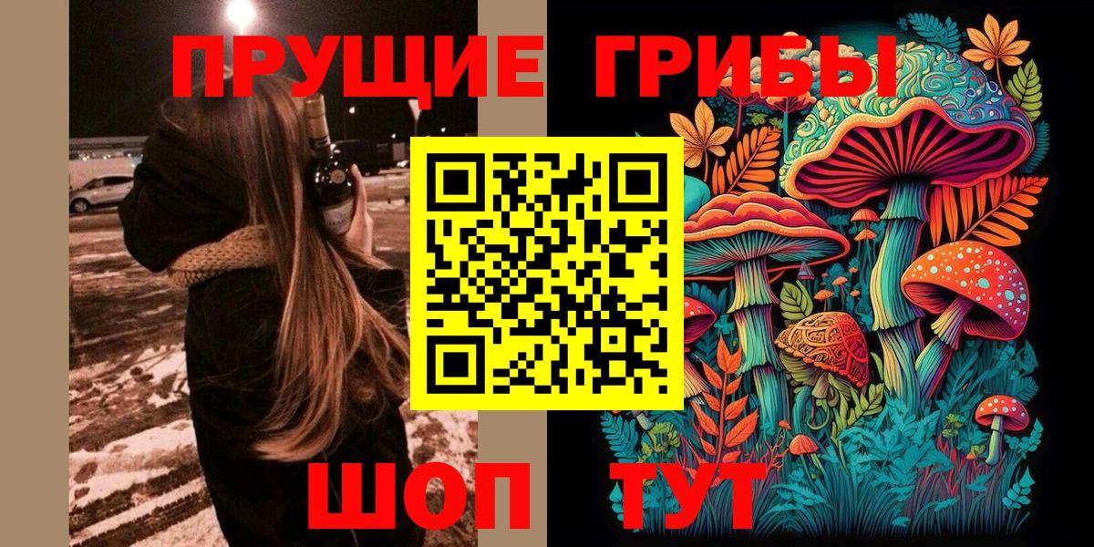 Михайловск  Галлюциногенные грибы мицелий  Вход с VPN 